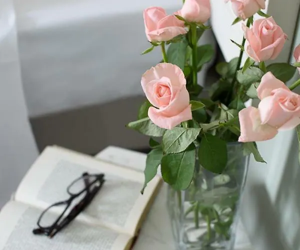 Otel Maria Boutique 3*