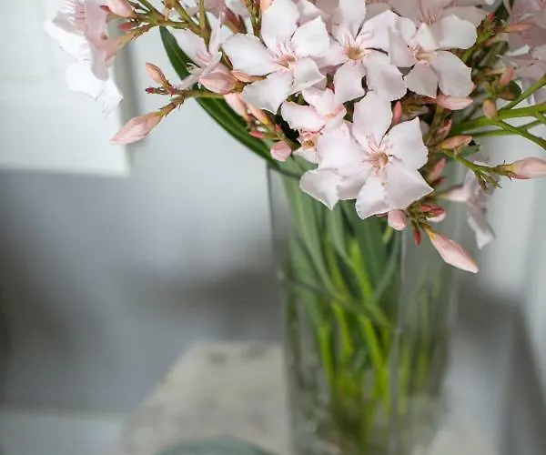 Maria Boutique 3* Cannobio